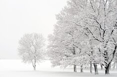 Winterlandschaft in Estland