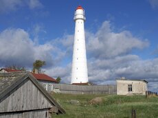 Ins Meer reichende Landspitzen, wie die von Tahkuna auf der Insel Hiiumaa, dienen vor allem Kleinvögeln als Sichtmarke während des Zuges.