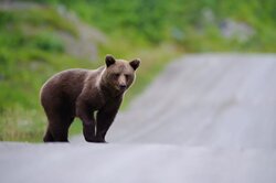 Naturreisen im Baltikum