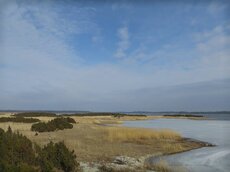 Die eisfreien Gewässerflächen der flachen Küstengewässer bieten im März erste Rastmöglichkeiten.