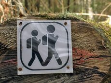 Auf Schusters Rappen – Waldwege laden zum Wandern ein!