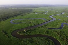 Der Emajõgi – alte Hansestraße und heutiges Naturparadies