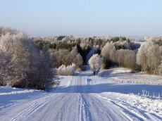 Winterlandschaft in Südestland