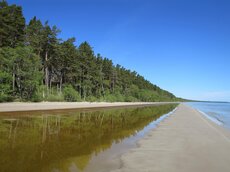 Wo die Fußspuren im Sand fehlen – Naturstrände der Rigaer Bucht.