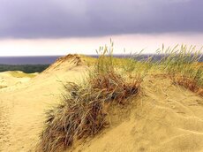 Wanderdünen auf der Kurischen Nehrung