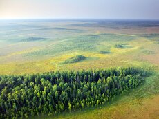 Großflächige und noch unzerschnittene Moorgebiete existieren vor allem in Estland und Lettland.