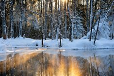 Winter in Estland