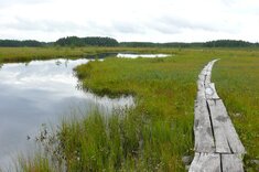 See im Kemeri-Nationalpark