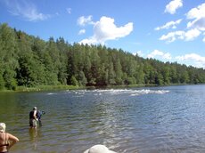 Triathlon in Estland – familiäre Atmosphäre mitten in der Natur.