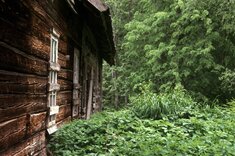 Alte Waldhütte