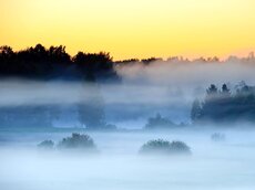 Morgendlicher Frühnebel im Emajõgi-Flusstal