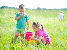 Wilderdbeeren überall und jeder sammelt mit.