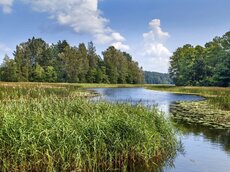 Masuren – Europas schönste Seenlandschaft