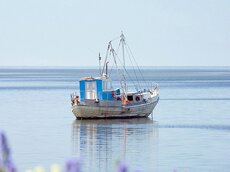 Die Küstenfischerei auf der Insel Saaremaa ist auch heutzutage noch ein wichtiger Erwerbszweig.