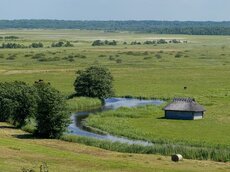 Landschaft in Mittelestland