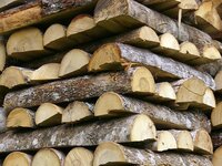 Holz ist im Baltikum vielerorts noch unverzichtbares Heizmaterial für Öfen, Kocherd und Sauna.