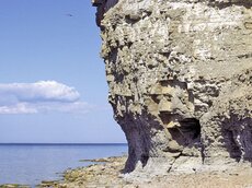 Steilküstenabschnitt auf der Halbinsel Pakri