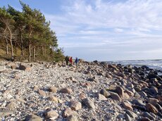 Besonders die estnischen Küsten sind sehr steinig und erinnern daher immer auch ein bisschen an Skandinavien.